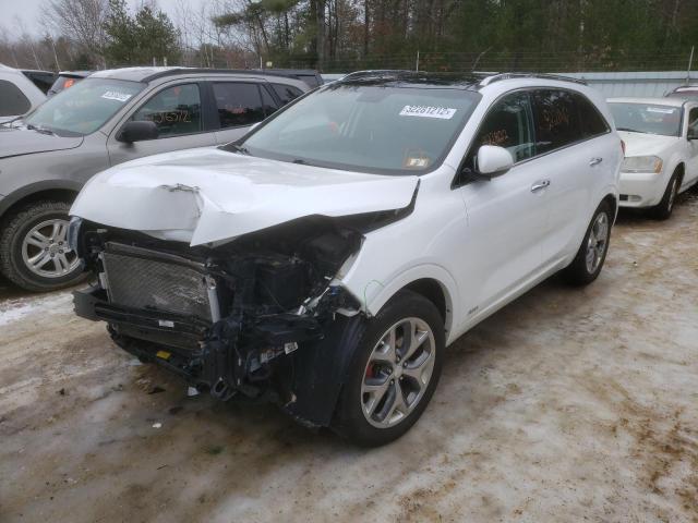 5XYPKDA57HG254479 - 2017 KIA SORENTO SX WHITE photo 2