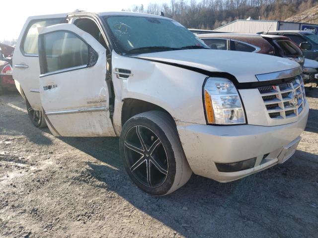 1GYS4CEF8BR206106 - 2011 CADILLAC ESCALADE P WHITE photo 1