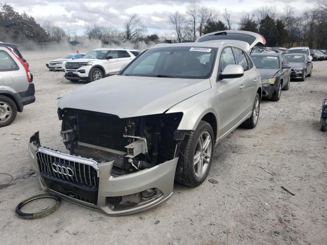 WA1CMAFP6EA019031 - 2014 AUDI Q5 TDI PRE BEIGE photo 2