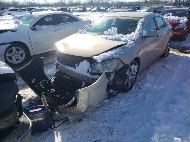 1G1ZC5E1XBF126727 - 2011 CHEVROLET MALIBU 1LT 金色 照片 2