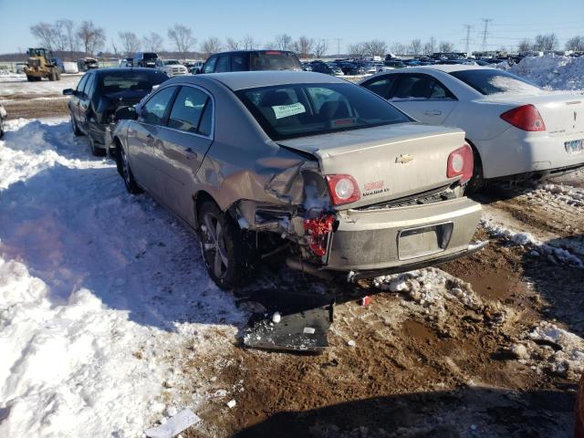 1G1ZC5E1XBF126727 - 2011 CHEVROLET MALIBU 1LT 金色 照片 3