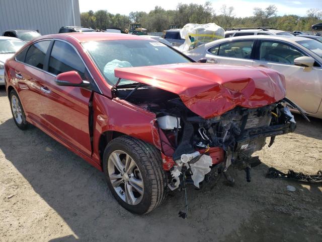 5NPE34AF1JH664142 - 2018 HYUNDAI SONATA SPO RED photo 1