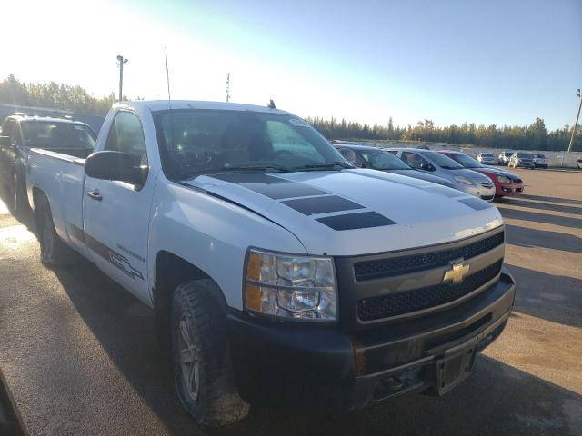 1GCEC14XX9Z216019 - 2009 CHEVROLET SILVERADO WHITE photo 1