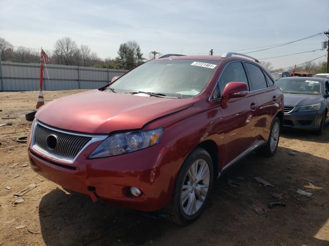 JTJBC1BA9B2043302 - 2011 LEXUS RX 450 RED photo 2