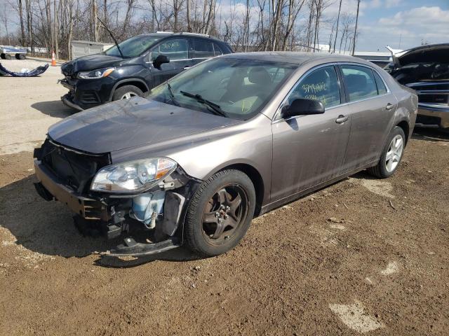 1G1ZB5EB0AF241671 - 2010 CHEVROLET MALIBU LS GOLD photo 2