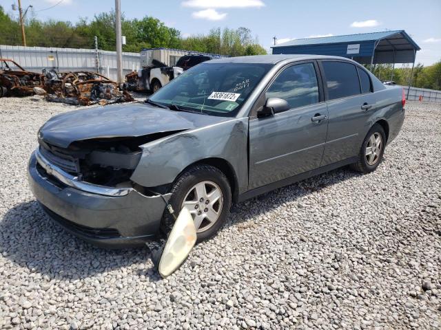 1G1ZT528X5F336072 - 2005 CHEVROLET MALIBU LS GRAY photo 2