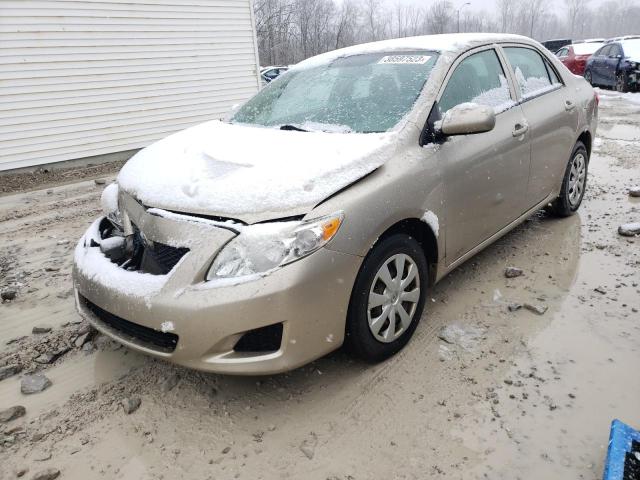 1NXBU40E49Z164577 - 2009 TOYOTA COROLLA BA GOLD photo 1