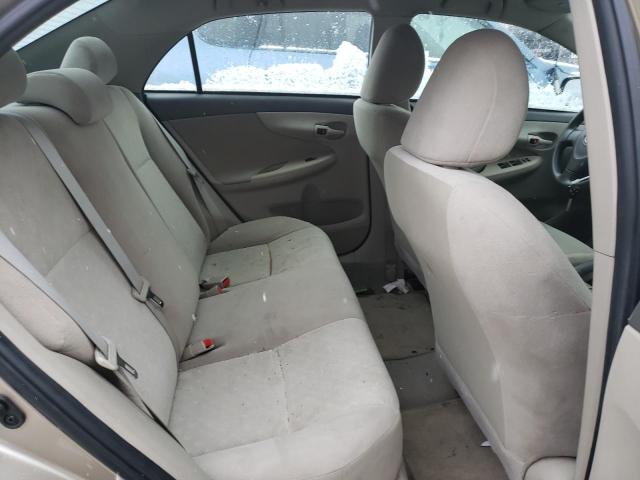 1NXBU40E49Z164577 - 2009 TOYOTA COROLLA BA GOLD photo 10