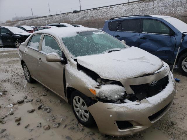 1NXBU40E49Z164577 - 2009 TOYOTA COROLLA BA GOLD photo 4
