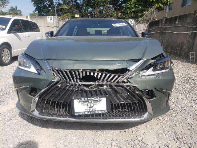 JTHB21B1XK2029624 - 2019 LEXUS ES 300H GREEN photo 9