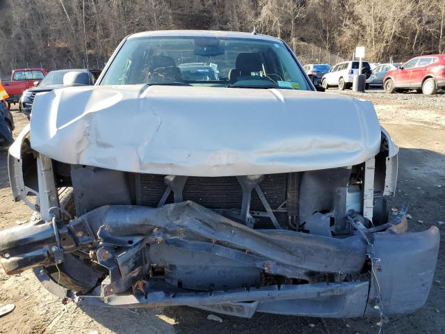 1GCEC19X49Z175041 - 2009 CHEVROLET SILVERADO BEIGE photo 5