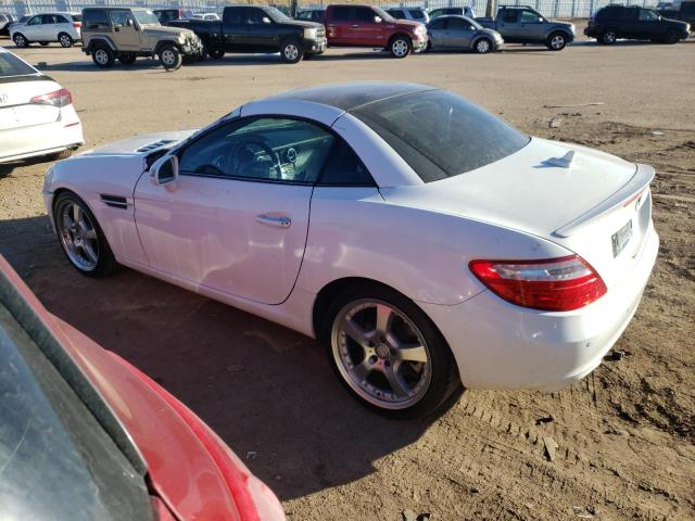 WDDPK4HA2EF083910 - 2014 MERCEDES-BENZ SLK 250 WHITE photo 2