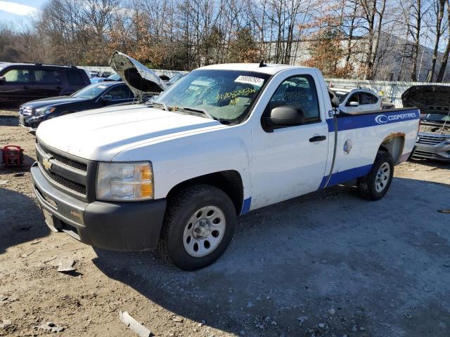 1GCEC14X49Z149949 - 2009 CHEVROLET SILVERADO WHITE photo 1