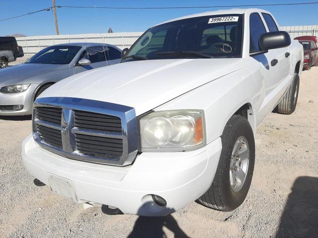 1D7HW48K97S216240 - 2007 DODGE DAKOTA QUA WHITE photo 2