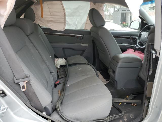 5NMSGDAB5AH335395 - 2010 HYUNDAI SANTA FE G SILVER photo 10