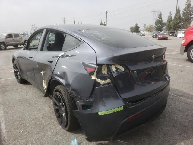 5YJYGDEE4MF278563 - 2021 TESLA MODEL Y رمادي صورة 3