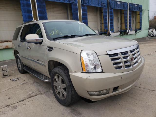 1GYFK63827R405088 - 2007 CADILLAC ESCALADE L GOLD photo 1