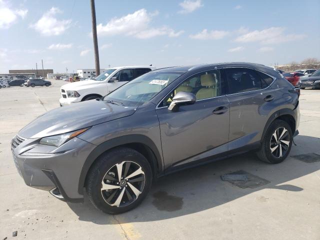 JTJGARBZ9M2183384 - 2021 LEXUS NX 300 BAS GRAY photo 1