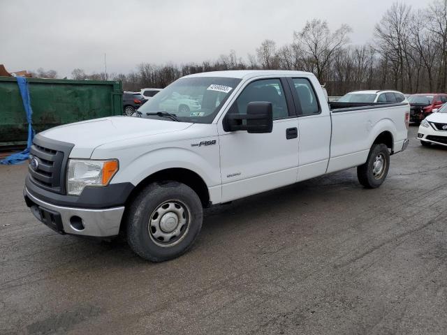 1FTVX1CTXBKE20255 - 2011 FORD F150 SUPER WHITE photo 1