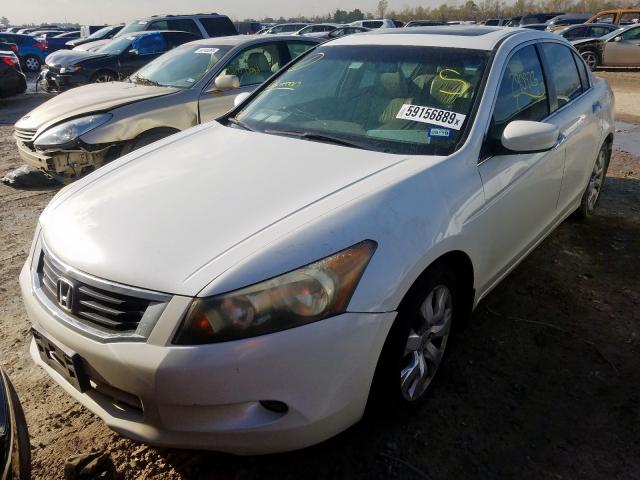 1HGCP36868A029954 - 2008 HONDA ACCORD EXL WHITE photo 2