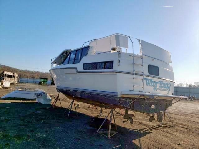 CDRP0054K19211 - 1992 CARV BOAT WHITE photo 3