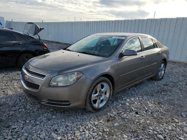 1G1ZC5EB7AF145839 - 2010 CHEVROLET MALIBU 1LT თაფლისფერი ფოტო 1