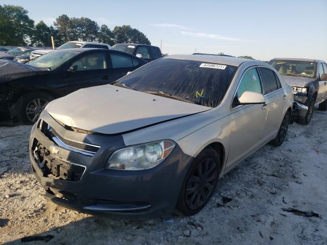 1G1ZC5E09AF253975 - 2010 CHEVROLET MALIBU 1LT 金色 照片 2