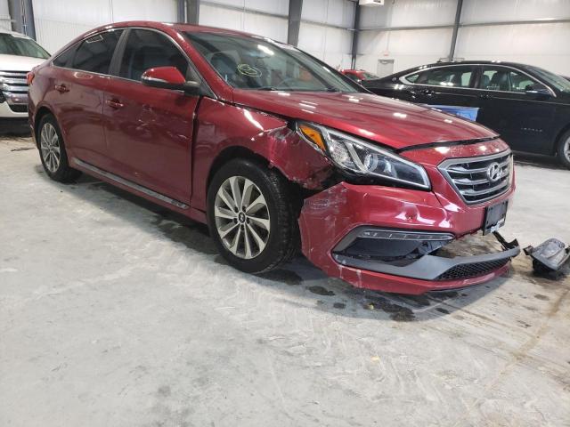 5NPE34AF2GH265121 - 2016 HYUNDAI SONATA SPO RED photo 1