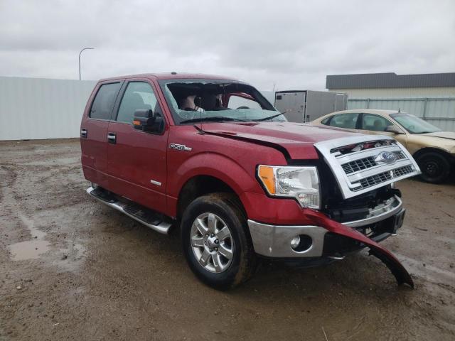 1FTFW1ET4DFD68881 - 2013 FORD 150 RED photo 1