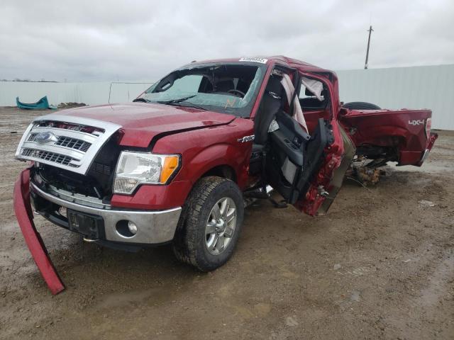 1FTFW1ET4DFD68881 - 2013 FORD 150 RED photo 2