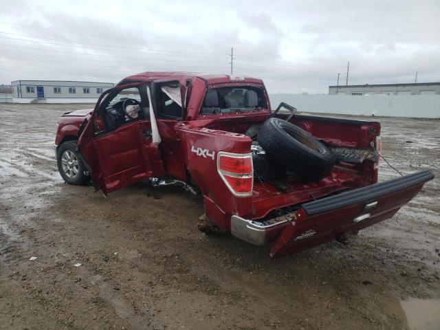 1FTFW1ET4DFD68881 - 2013 FORD 150 RED photo 3