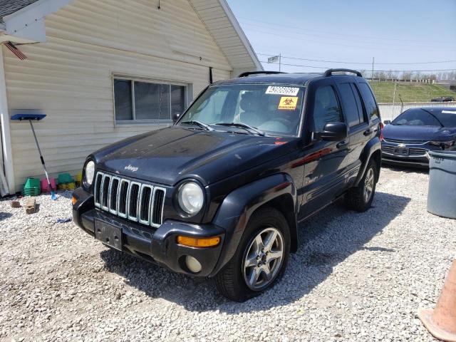 1J8GL58K73W593164 - 2003 JEEP LIBERTY LI BLUE photo 2