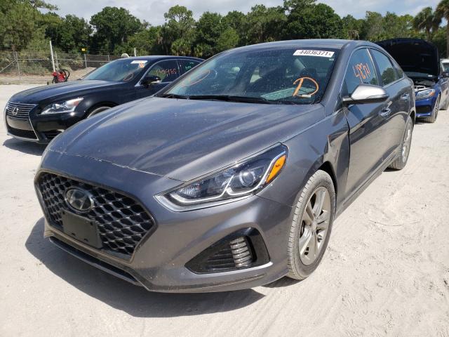 5NPE34AF9KH785163 - 2019 HYUNDAI SONATA LIM GRAY photo 2