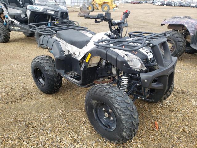 L9NACMR33M1800535 - 2021 TAO 4 WHEELER WHITE photo 1