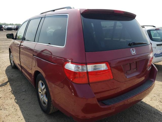 5FNRL38415B404232 - 2005 HONDA ODYSSEY EX  photo 3