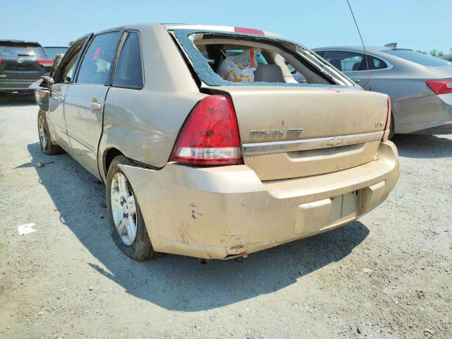 1G1ZT68NX7F126982 - 2007 CHEVROLET MALIBU MAX 金色 照片 3
