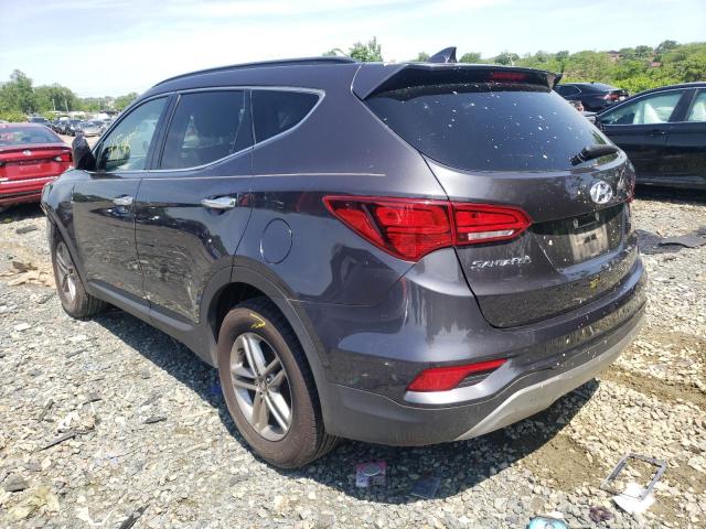 5XYZU3LB9HG389513 - 2017 HYUNDAI SANTA FE SPORT  photo 3