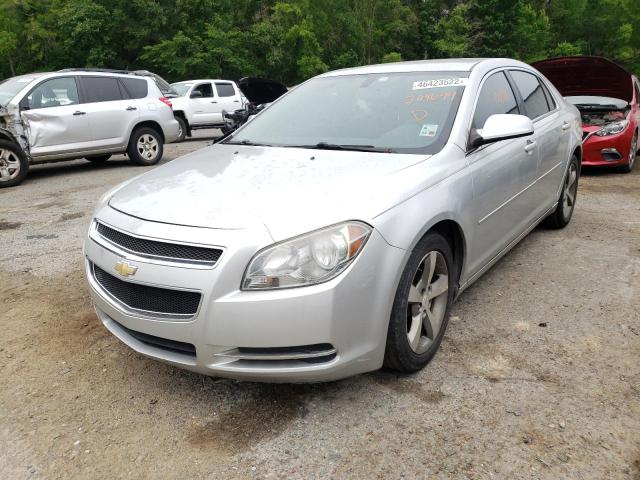 1G1ZC5E15BF204699 - 2011 CHEVROLET MALIBU 1LT 银色 照片 2