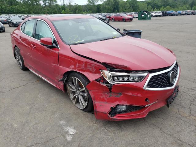 19UUB3F81KA000730 - 2019 ACURA TLX ADVANC RED photo 1