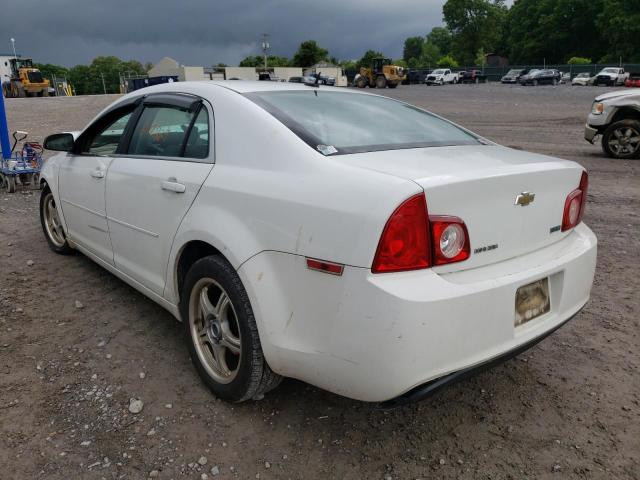 1G1ZA5EUXBF135542 - 2011 CHEVROLET MALIBU LS  photo 3