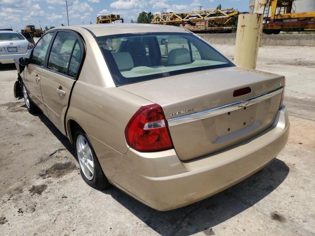 1G1ZT54875F204965 - 2005 CHEVROLET MALIBU LS GOLD photo 3