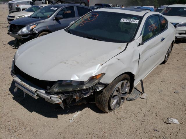 1HGCT1B81DA003679 - 2013 HONDA ACCORD EXL WHITE photo 2