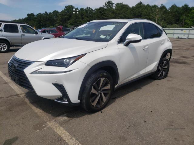 JTJBARBZ5J2****** - 2018 LEXUS NX 300 BAS WHITE photo 2