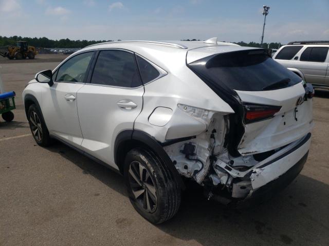 JTJBARBZ5J2****** - 2018 LEXUS NX 300 BAS 白色 照片 3