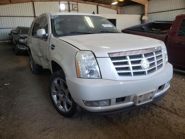 1GYUKCEF1AR154573 - 2010 CADILLAC ESCALADE P WHITE photo 1