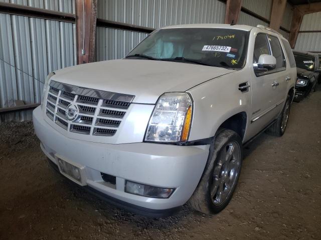 1GYUKCEF1AR154573 - 2010 CADILLAC ESCALADE P WHITE photo 2