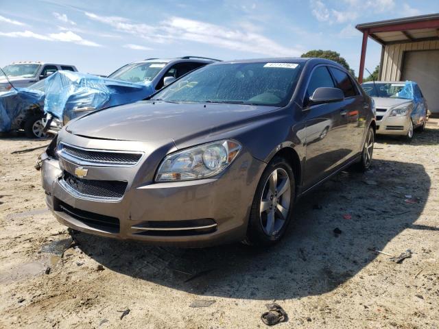 1G1ZC5E1XBF120118 - 2011 CHEVROLET MALIBU 1LT 棕色 照片 2