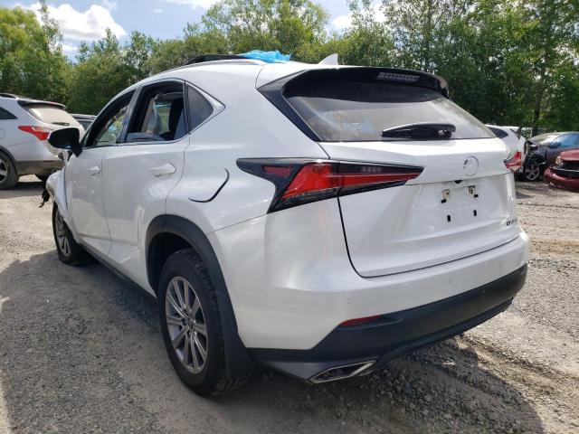 JTJDARDZ6M5020951 - 2021 LEXUS NX 300 BAS WHITE photo 3