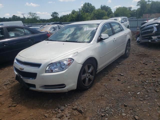 1G1ZC5E13BF343570 - 2011 CHEVROLET MALIBU 1LT 白色 照片 2