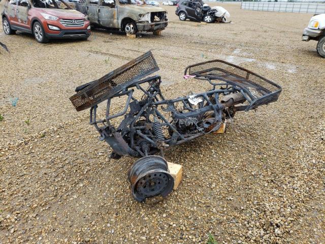 478TE256X44300854 - 2004 HONDA TRX350 FE BURN photo 2